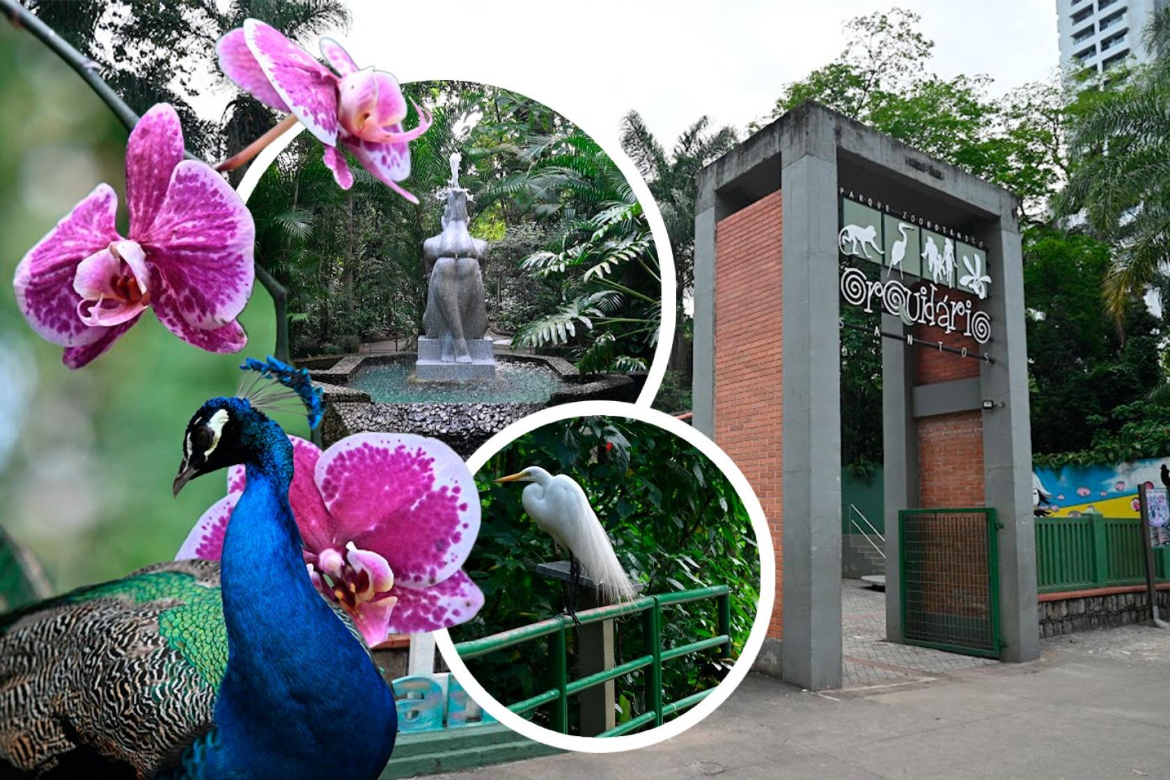 Orquidario de Santos 1